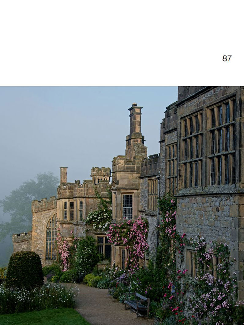 Arne Maynard – Bild 2