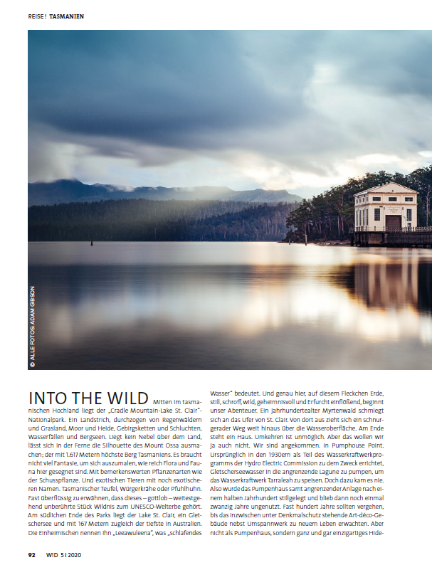 Into the Wild – Bild 1